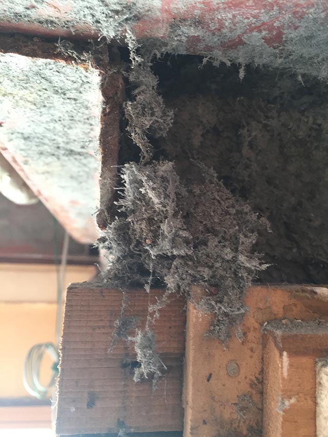 アスベスト、中古住宅