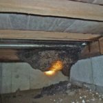 家の床下が腐食している!?その原因と対処法