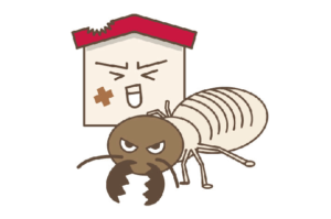 床下にシロアリの巣？家の被害や対策について解説