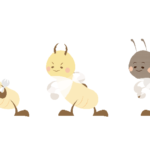 シロアリにはどんな種類がいる?家への被害についても解説!