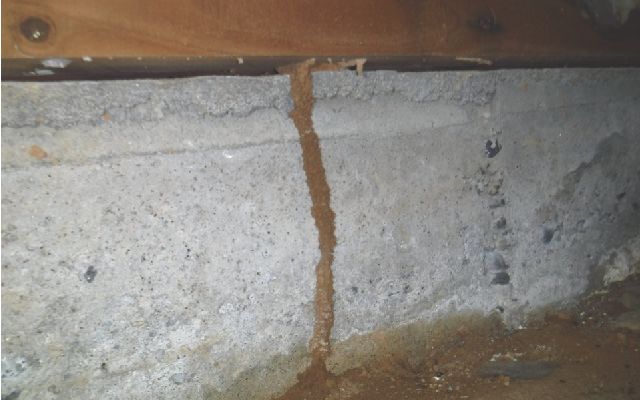基礎の点検箇所はどこ ひび割れや蟻道 劣化 剥離 カビなど重要な7項目を紹介 基礎補強専門店アストロホーム 基礎の点検箇所はどこ ひび割れや蟻道 劣化 剥離 カビなど重要な7項目を紹介 基礎補強専門店アストロホーム
