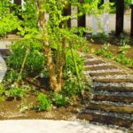 基礎コンクリートの劣化の原因は庭の樹木の根っこ?