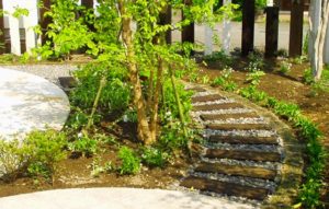 基礎コンクリートの劣化の原因は庭の樹木の根っこ？