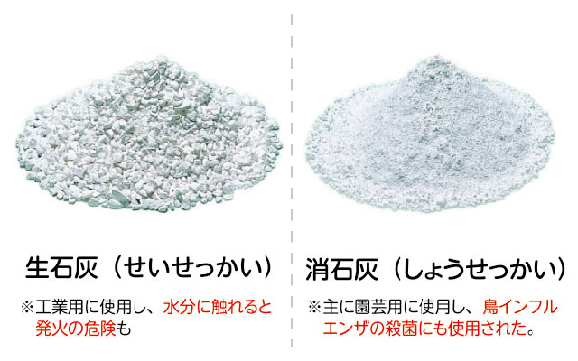 シロアリ駆除 予防に消石灰は効く 床下の乾燥や生石灰との違いについても解説 基礎補強専門店アストロホーム