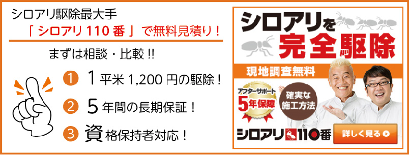 シロアリ駆除 予防に消石灰は効く 床下の乾燥や生石灰との違いについても解説 基礎補強専門店アストロホーム