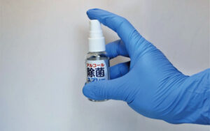 シロアリ駆除に天然素材のアルコールやシナモンが効果あり？簡単DIYを家にあるものでも可能！